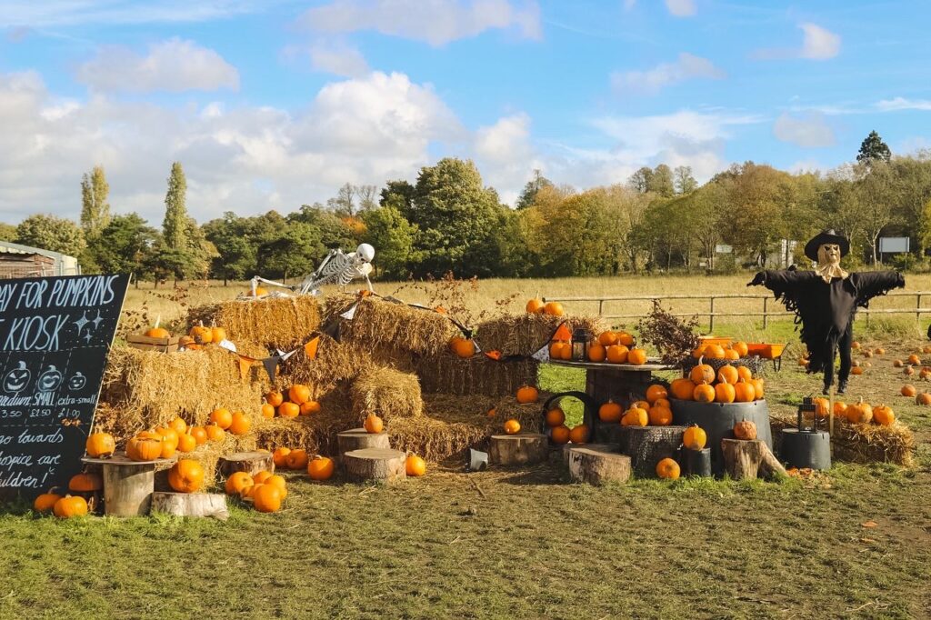 Beck Evans Farm