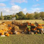 Beck Evans Farm